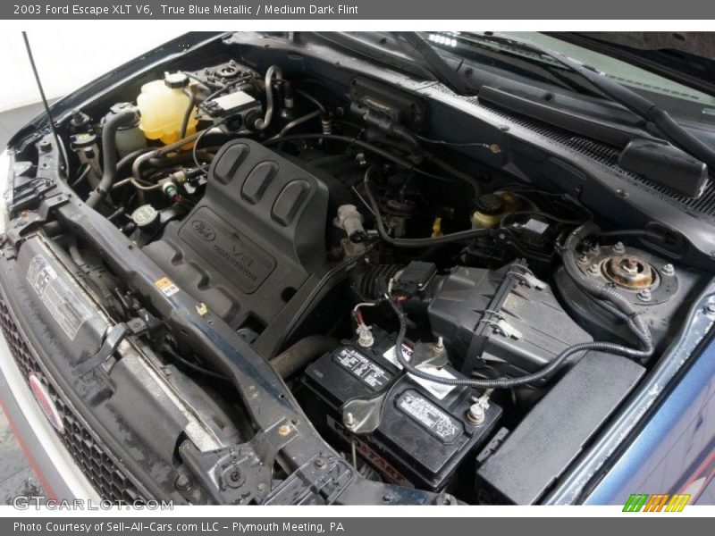 True Blue Metallic / Medium Dark Flint 2003 Ford Escape XLT V6