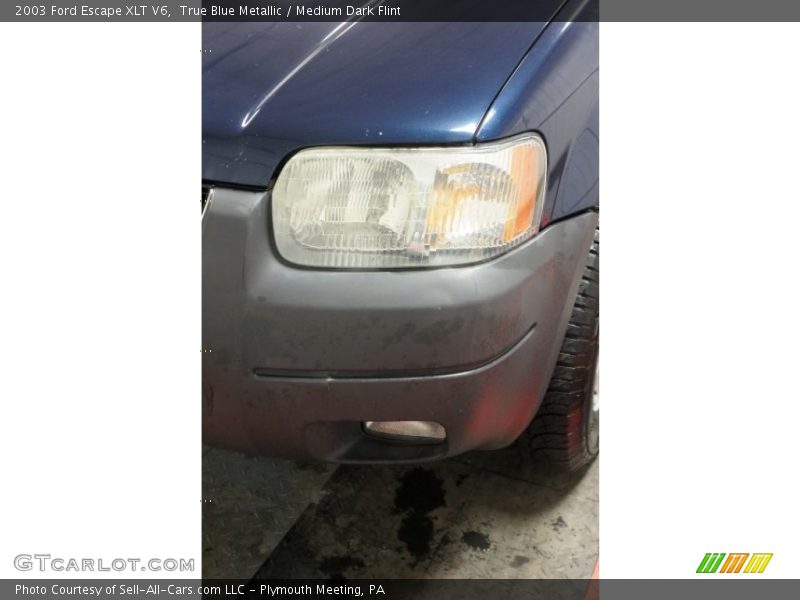 True Blue Metallic / Medium Dark Flint 2003 Ford Escape XLT V6