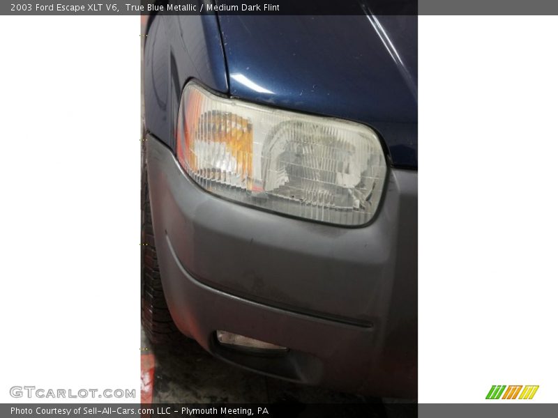 True Blue Metallic / Medium Dark Flint 2003 Ford Escape XLT V6