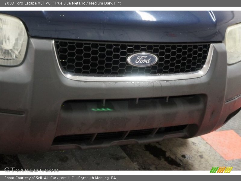 True Blue Metallic / Medium Dark Flint 2003 Ford Escape XLT V6
