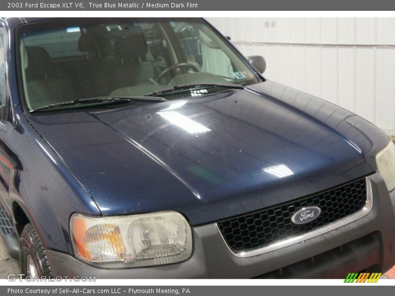 True Blue Metallic / Medium Dark Flint 2003 Ford Escape XLT V6
