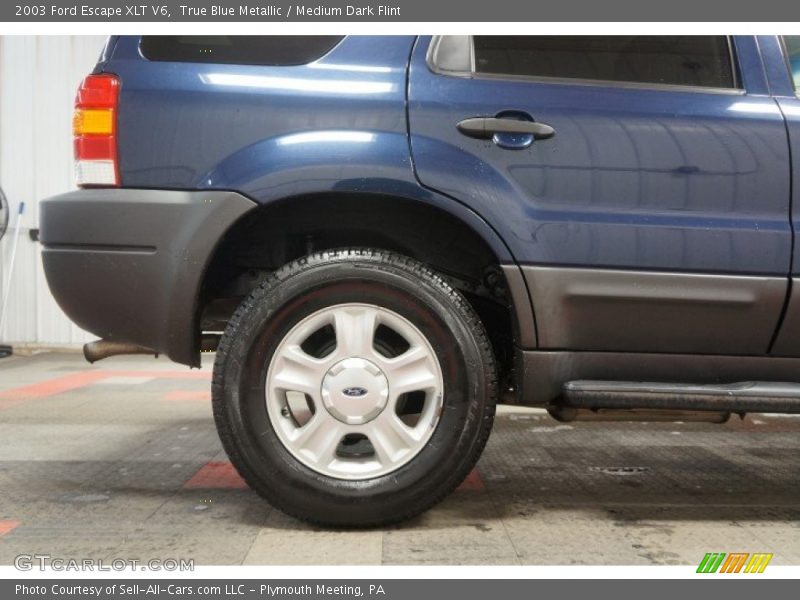 True Blue Metallic / Medium Dark Flint 2003 Ford Escape XLT V6