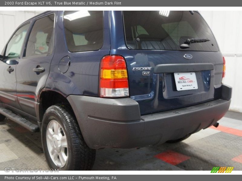 True Blue Metallic / Medium Dark Flint 2003 Ford Escape XLT V6