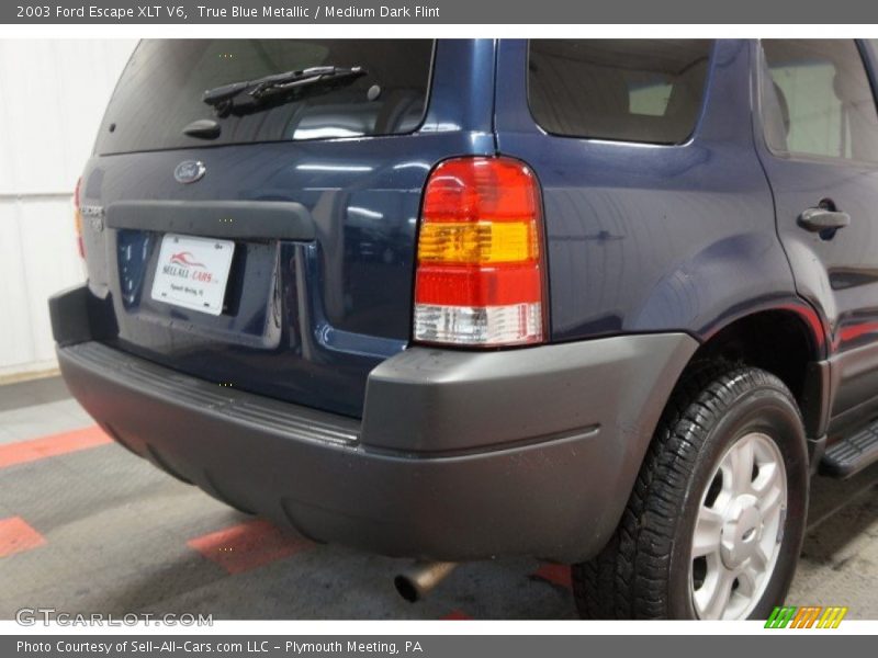 True Blue Metallic / Medium Dark Flint 2003 Ford Escape XLT V6