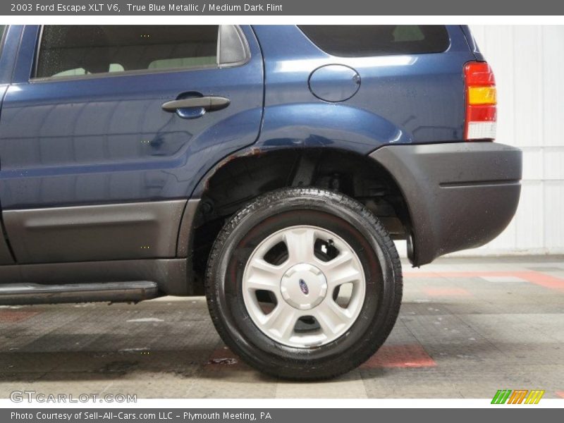 True Blue Metallic / Medium Dark Flint 2003 Ford Escape XLT V6