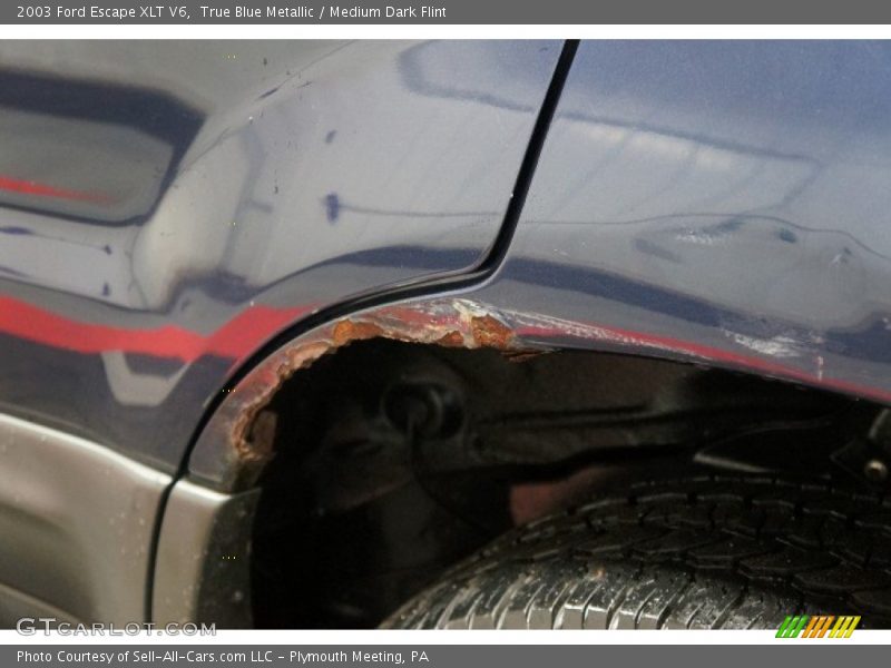 True Blue Metallic / Medium Dark Flint 2003 Ford Escape XLT V6