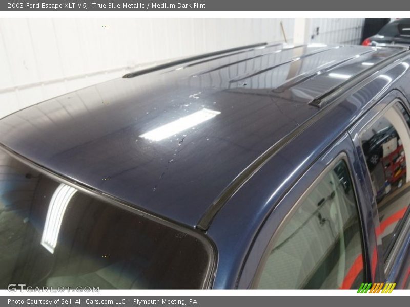 True Blue Metallic / Medium Dark Flint 2003 Ford Escape XLT V6