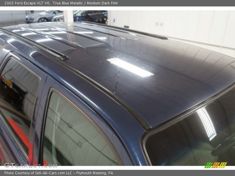 True Blue Metallic / Medium Dark Flint 2003 Ford Escape XLT V6