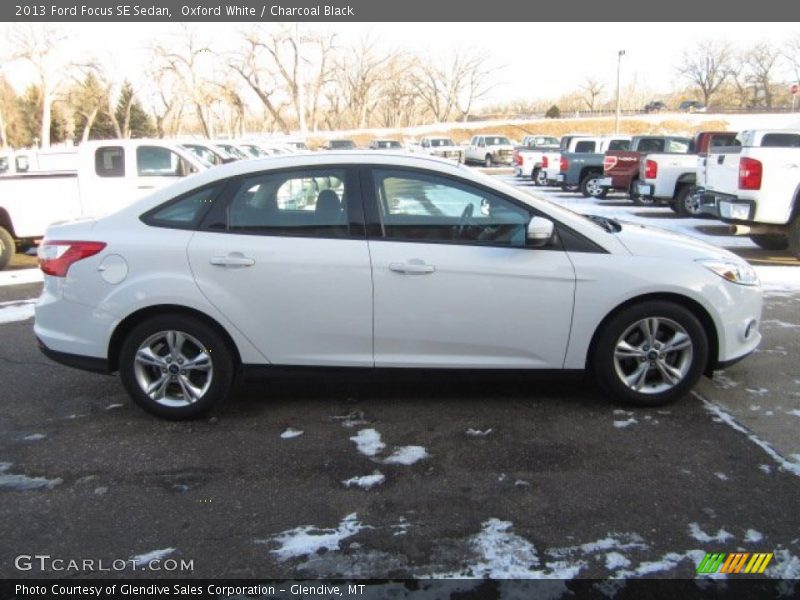 Oxford White / Charcoal Black 2013 Ford Focus SE Sedan