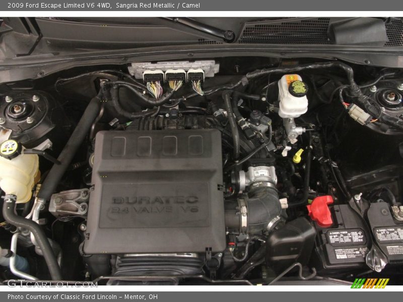 Sangria Red Metallic / Camel 2009 Ford Escape Limited V6 4WD