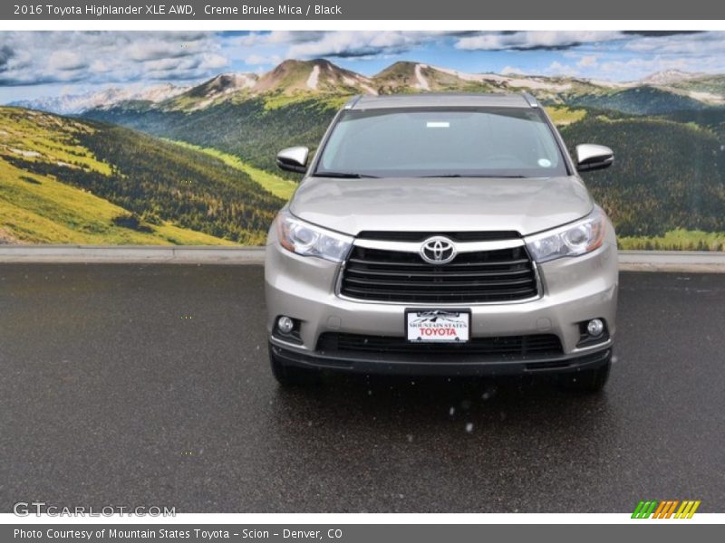 Creme Brulee Mica / Black 2016 Toyota Highlander XLE AWD
