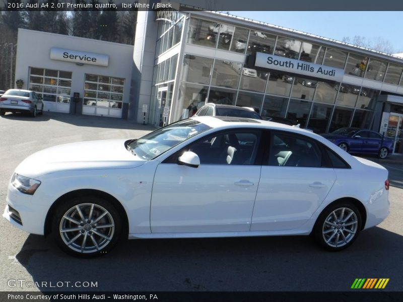 Ibis White / Black 2016 Audi A4 2.0T Premium quattro