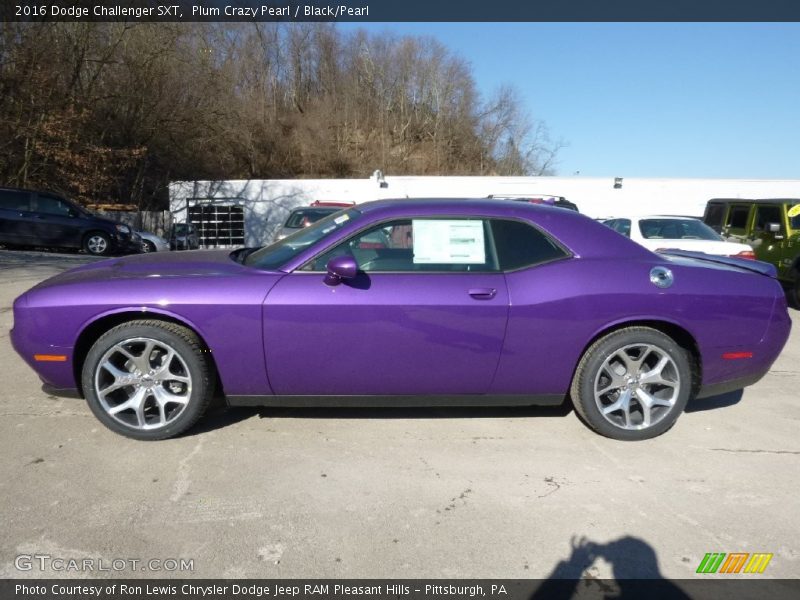 Plum Crazy Pearl / Black/Pearl 2016 Dodge Challenger SXT