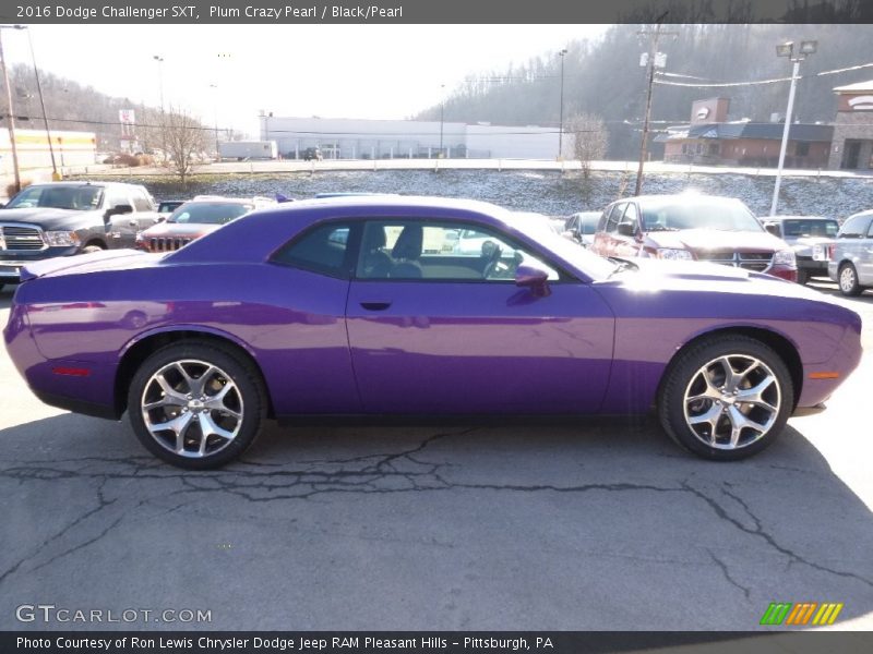 Plum Crazy Pearl / Black/Pearl 2016 Dodge Challenger SXT