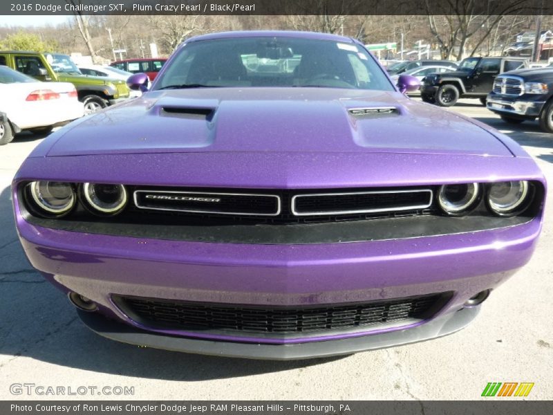 Plum Crazy Pearl / Black/Pearl 2016 Dodge Challenger SXT