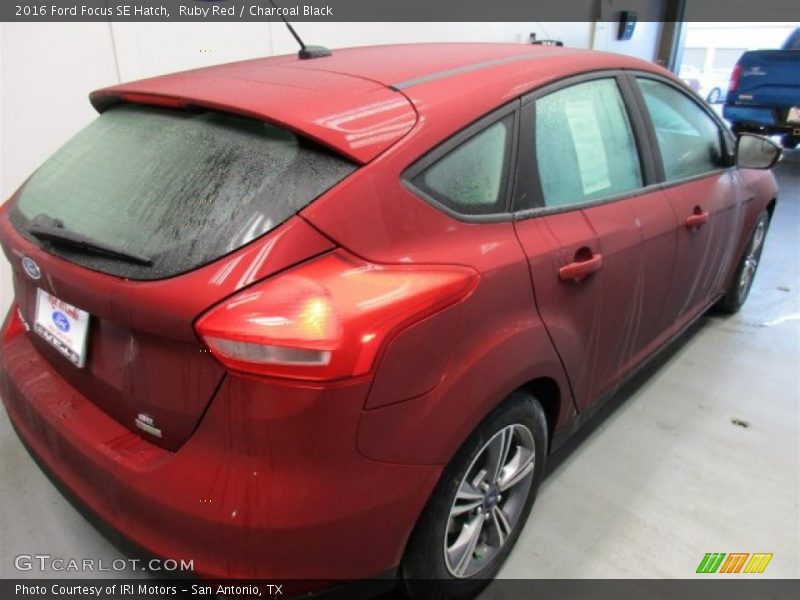 Ruby Red / Charcoal Black 2016 Ford Focus SE Hatch