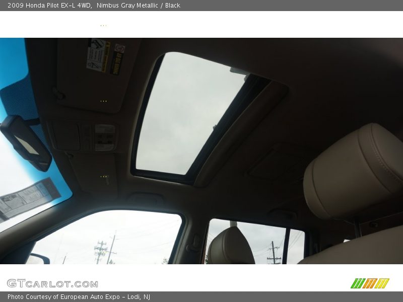 Nimbus Gray Metallic / Black 2009 Honda Pilot EX-L 4WD