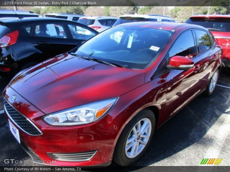 Ruby Red / Charcoal Black 2016 Ford Focus SE Sedan