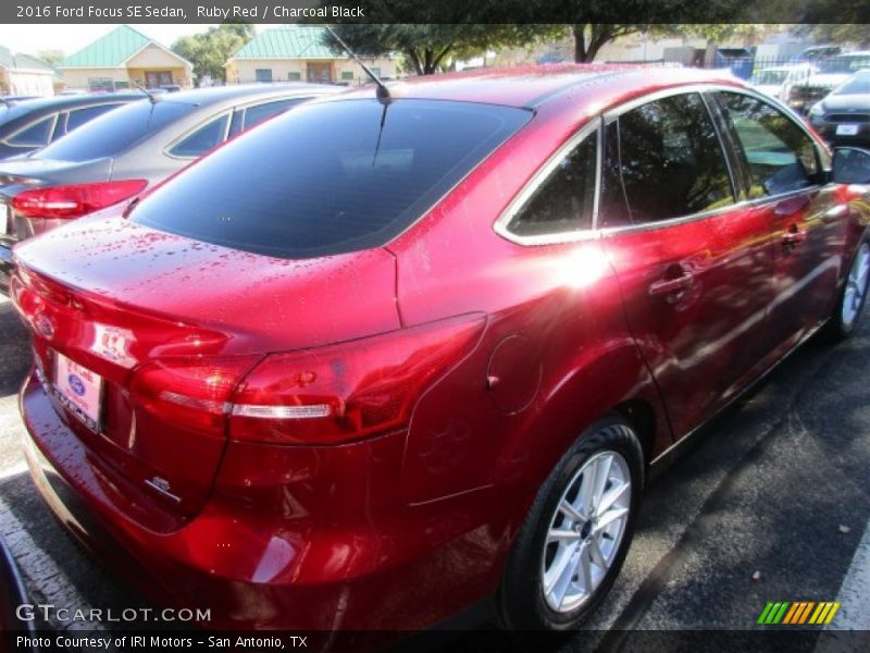 Ruby Red / Charcoal Black 2016 Ford Focus SE Sedan