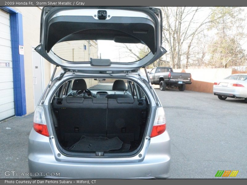 Storm Silver Metallic / Gray 2009 Honda Fit