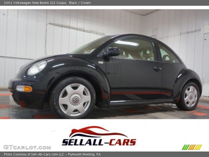 Black / Cream 2001 Volkswagen New Beetle GLS Coupe