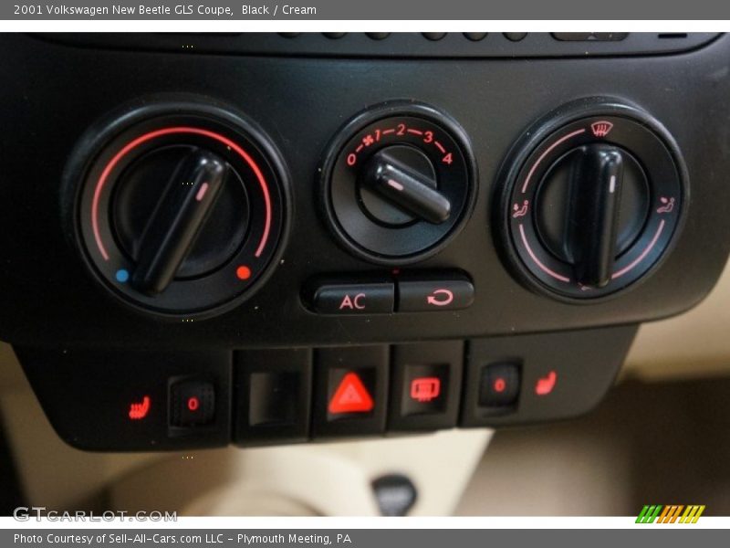 Black / Cream 2001 Volkswagen New Beetle GLS Coupe