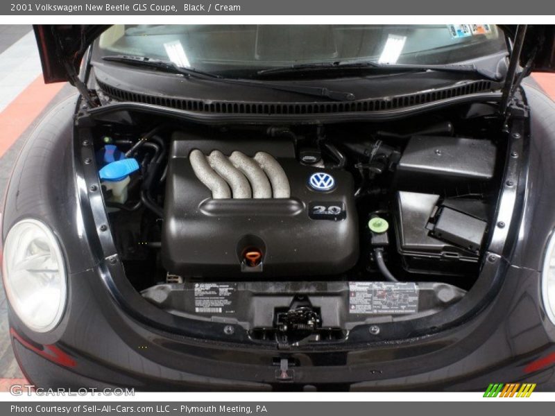 Black / Cream 2001 Volkswagen New Beetle GLS Coupe