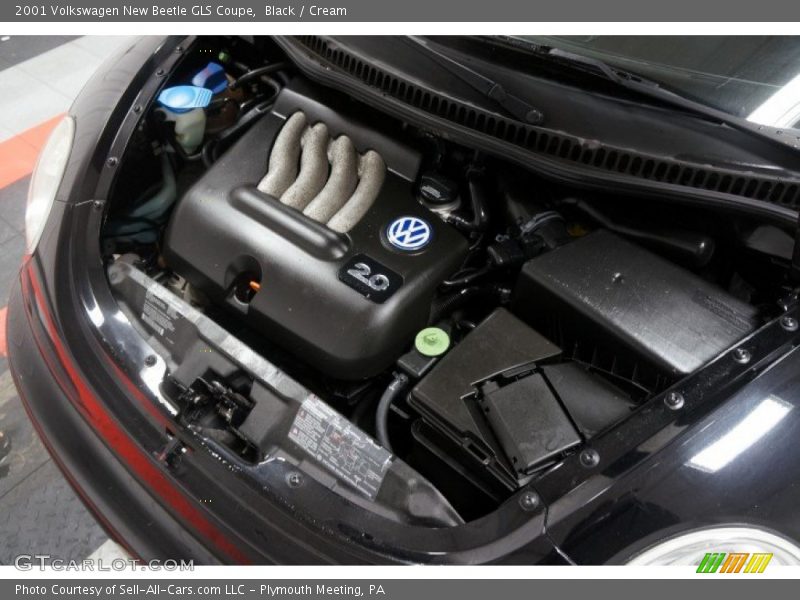 Black / Cream 2001 Volkswagen New Beetle GLS Coupe