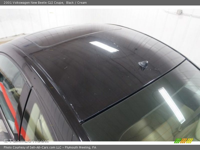 Black / Cream 2001 Volkswagen New Beetle GLS Coupe