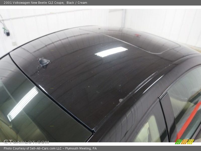 Black / Cream 2001 Volkswagen New Beetle GLS Coupe