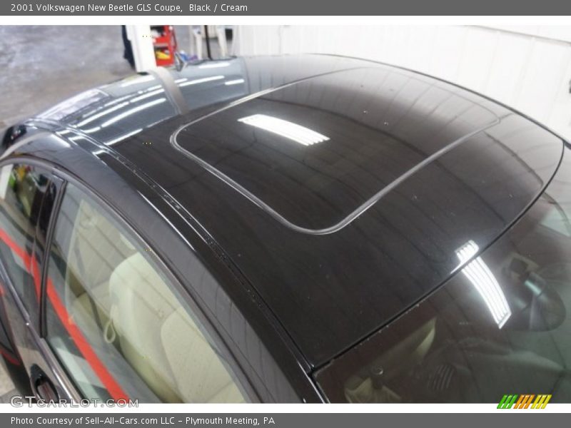 Black / Cream 2001 Volkswagen New Beetle GLS Coupe