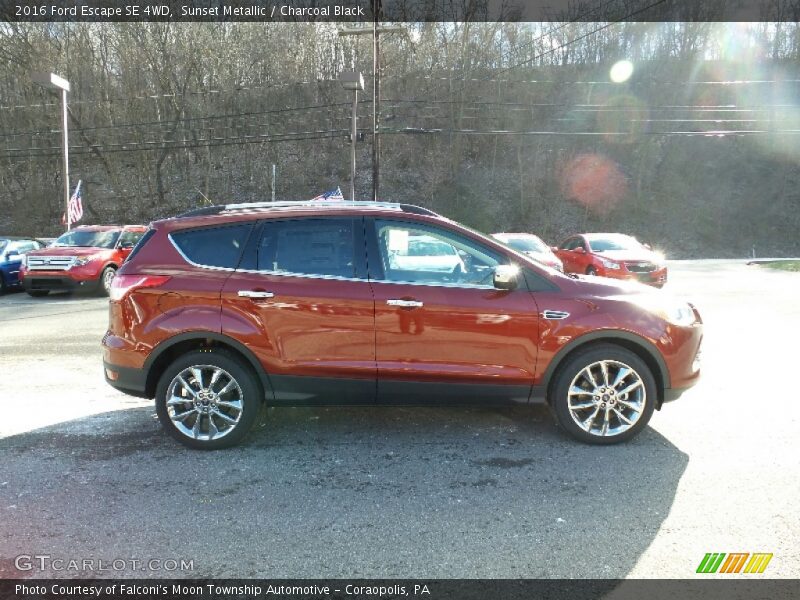 Sunset Metallic / Charcoal Black 2016 Ford Escape SE 4WD