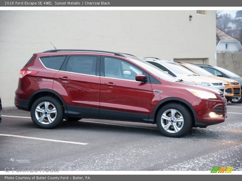Sunset Metallic / Charcoal Black 2016 Ford Escape SE 4WD
