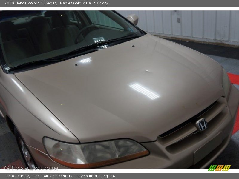 Naples Gold Metallic / Ivory 2000 Honda Accord SE Sedan