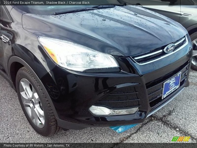 Shadow Black / Charcoal Black 2016 Ford Escape Titanium