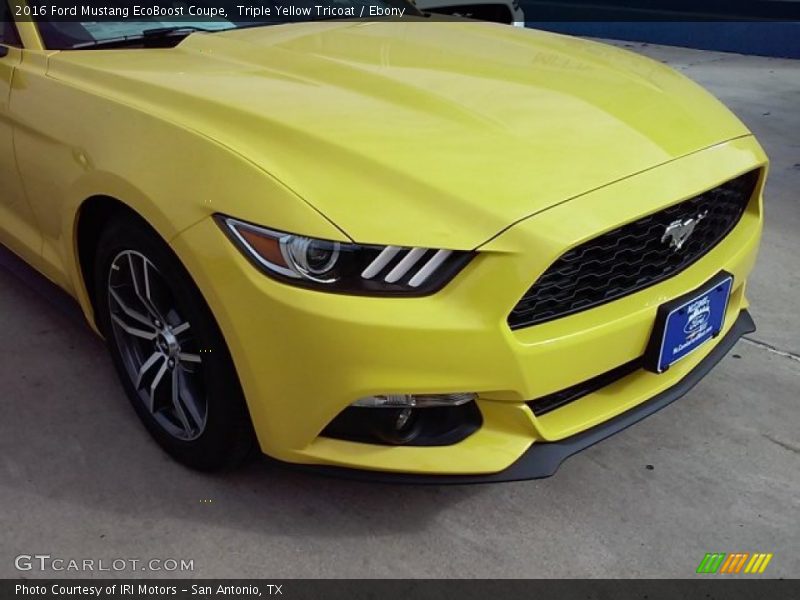 Triple Yellow Tricoat / Ebony 2016 Ford Mustang EcoBoost Coupe