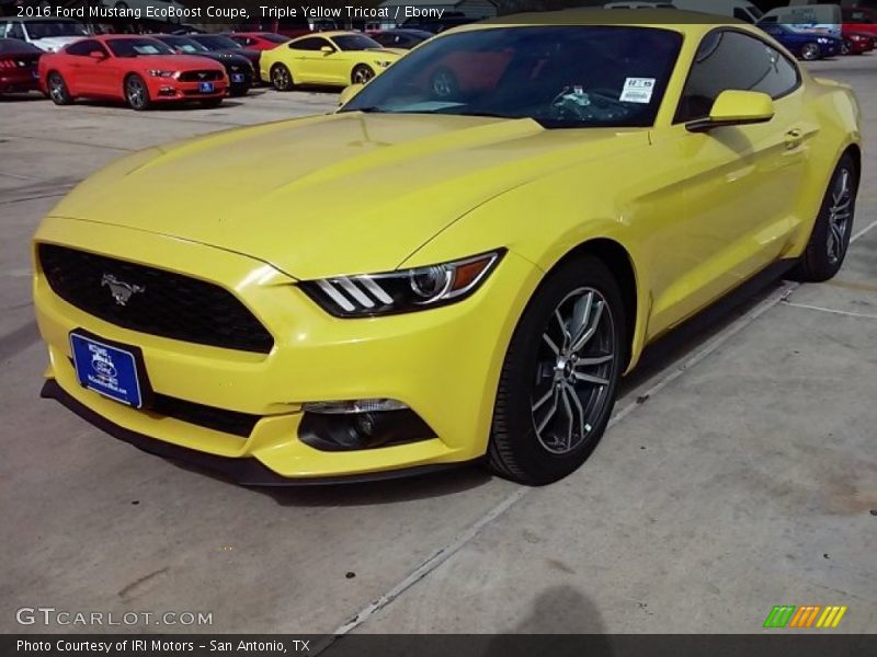 Triple Yellow Tricoat / Ebony 2016 Ford Mustang EcoBoost Coupe