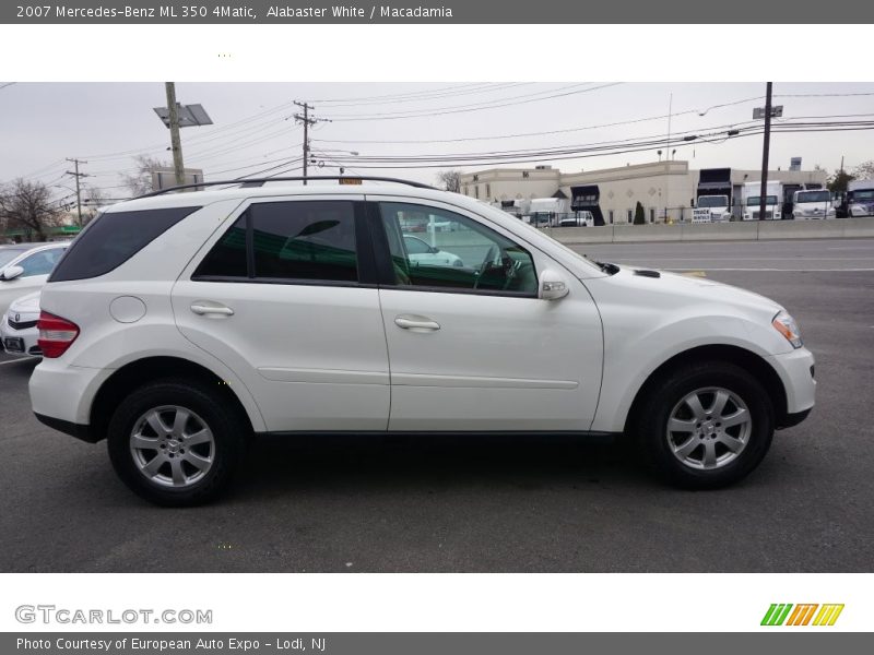 Alabaster White / Macadamia 2007 Mercedes-Benz ML 350 4Matic