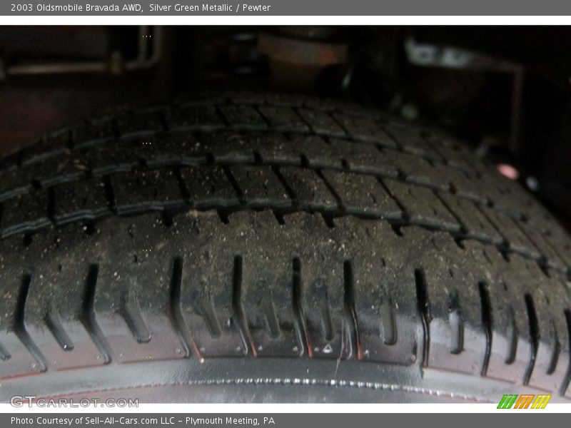 Silver Green Metallic / Pewter 2003 Oldsmobile Bravada AWD