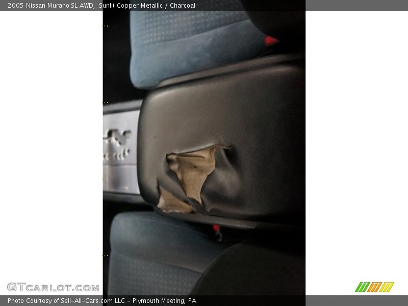 Sunlit Copper Metallic / Charcoal 2005 Nissan Murano SL AWD