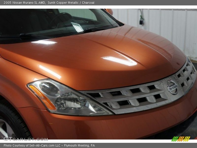 Sunlit Copper Metallic / Charcoal 2005 Nissan Murano SL AWD