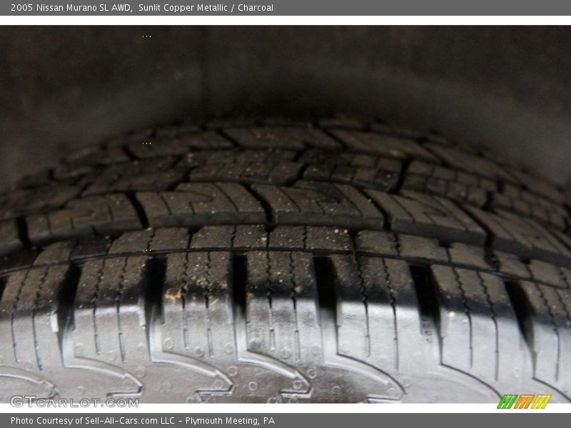 Sunlit Copper Metallic / Charcoal 2005 Nissan Murano SL AWD
