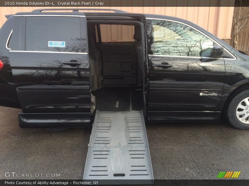 Crystal Black Pearl / Gray 2010 Honda Odyssey EX-L