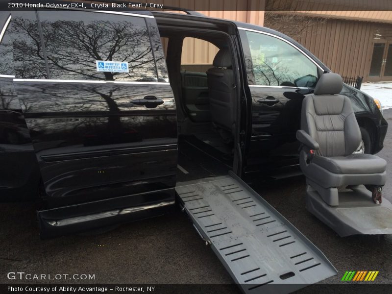 Crystal Black Pearl / Gray 2010 Honda Odyssey EX-L