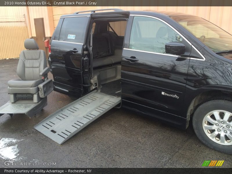 Crystal Black Pearl / Gray 2010 Honda Odyssey EX-L