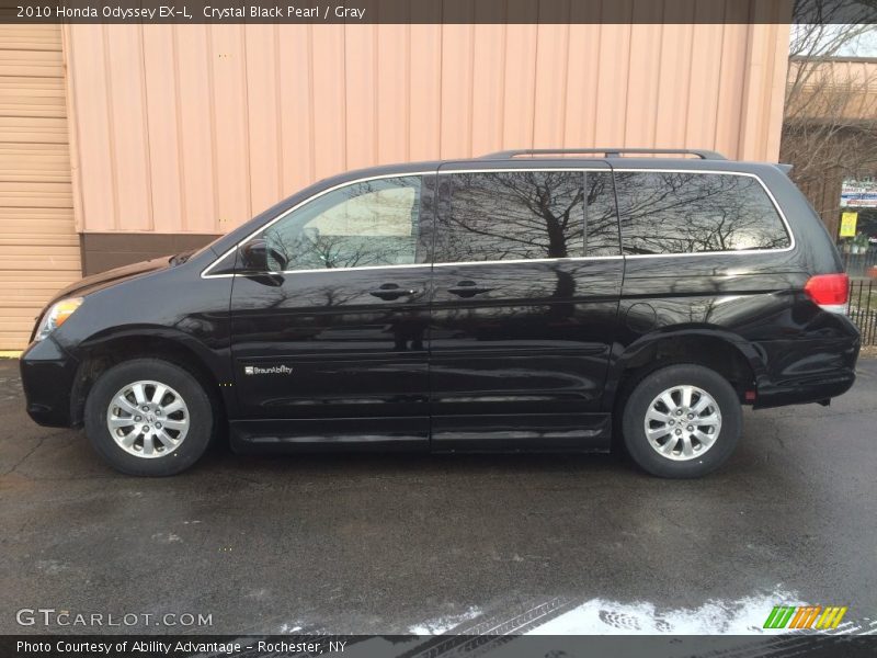 Crystal Black Pearl / Gray 2010 Honda Odyssey EX-L