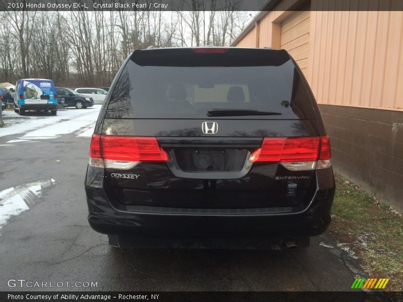 Crystal Black Pearl / Gray 2010 Honda Odyssey EX-L