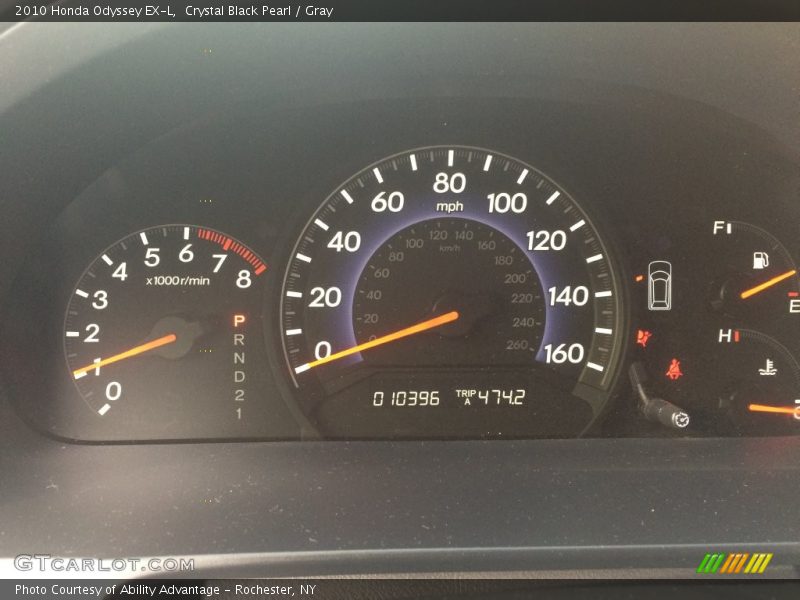 Crystal Black Pearl / Gray 2010 Honda Odyssey EX-L