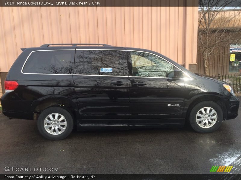 Crystal Black Pearl / Gray 2010 Honda Odyssey EX-L