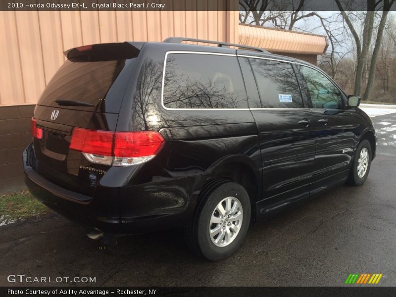 Crystal Black Pearl / Gray 2010 Honda Odyssey EX-L